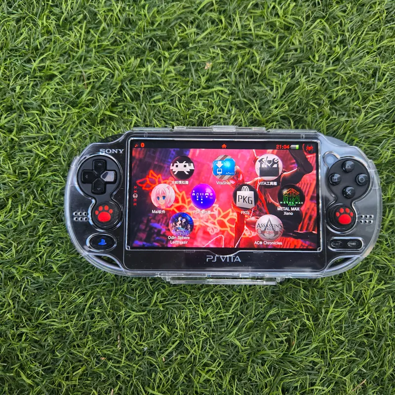 PS Vita 1000 OLED Noire — Thème Flower Boy (Tyler, The Creator), pack complet 128 Go — vue 6